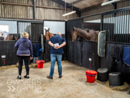 AH040924-65 - Anthony Honeyball Stable Visit